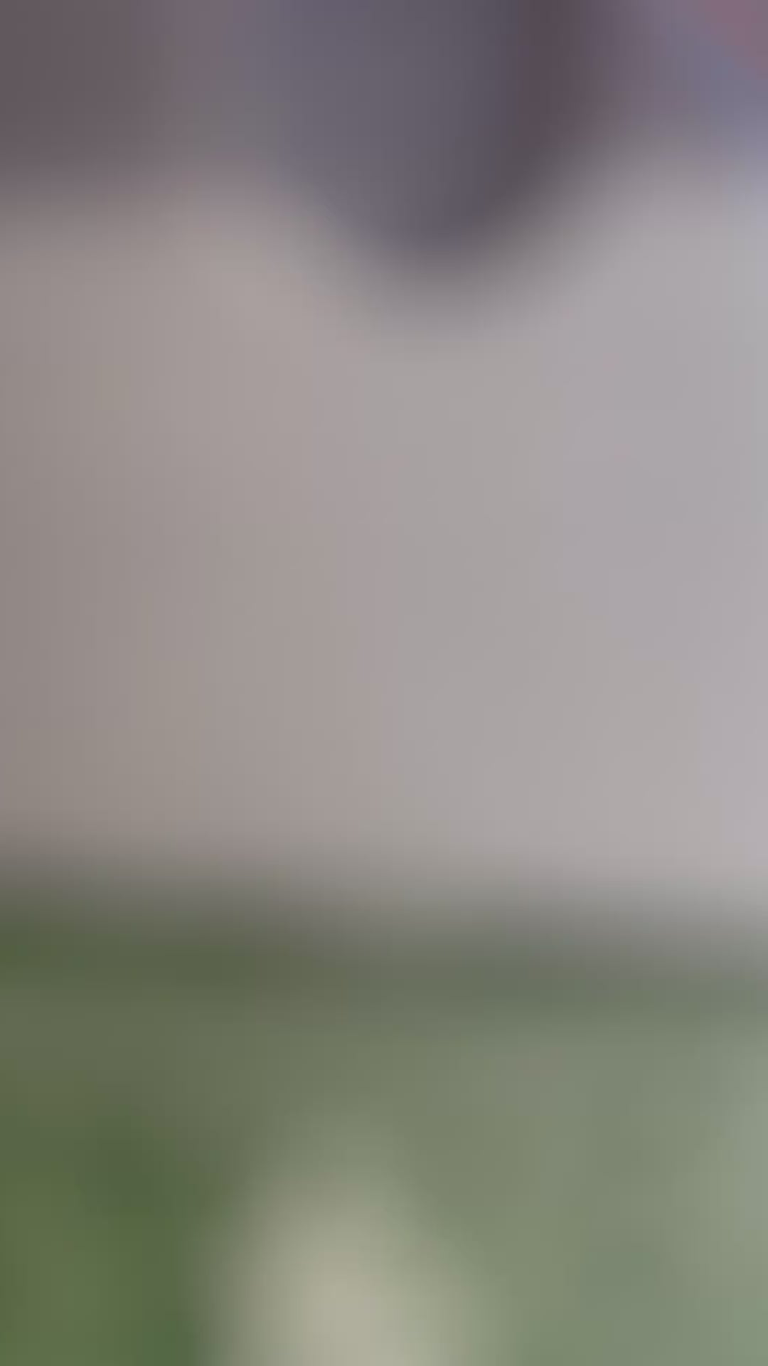 Charger la vidéo : 